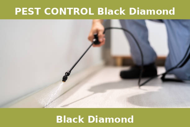 PEST CONTROL Black Diamond